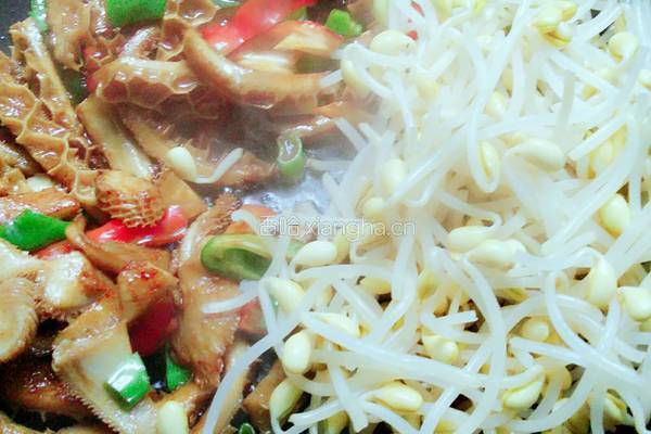 黄豆芽炒牛肚的做法图解11
