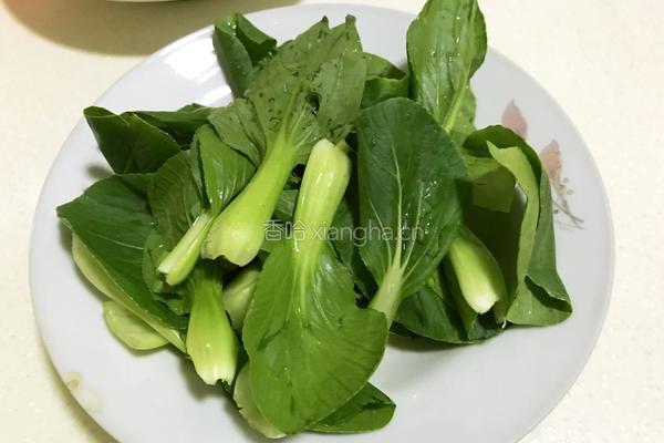 羊肉粉汤的做法图解6