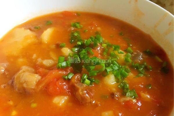 番茄土豆炖牛腩的做法图解11