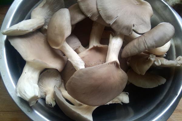 炸蘑菇的做法图解1