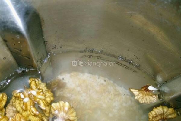 核桃燕麦米糊的做法图解3