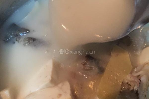 石斑鱼头豆腐汤的做法图解7