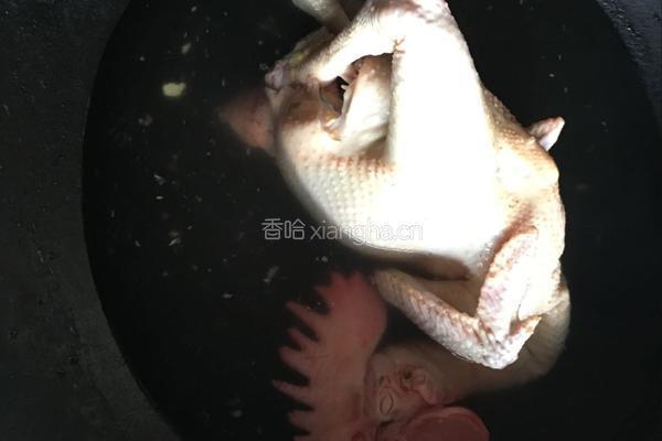 白斩鸡，白切鸡的做法图解2