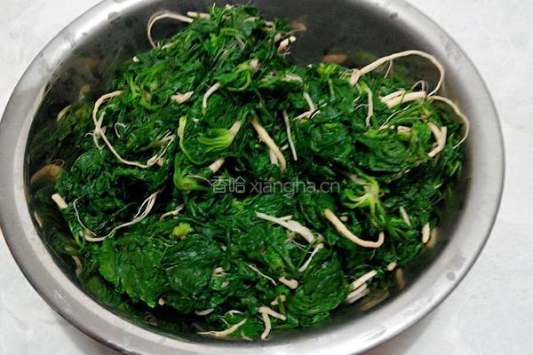荠菜馅饺子的做法图解5
