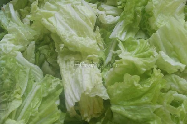 白菜炖豆腐的做法图解2