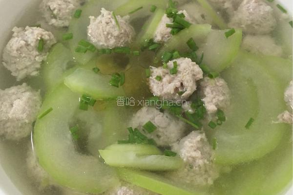 手工猪肉丸冬瓜汤的做法图解13