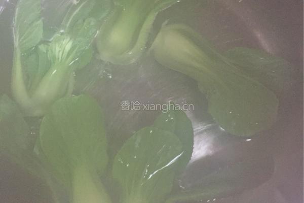 牛肉手擀面的做法图解17