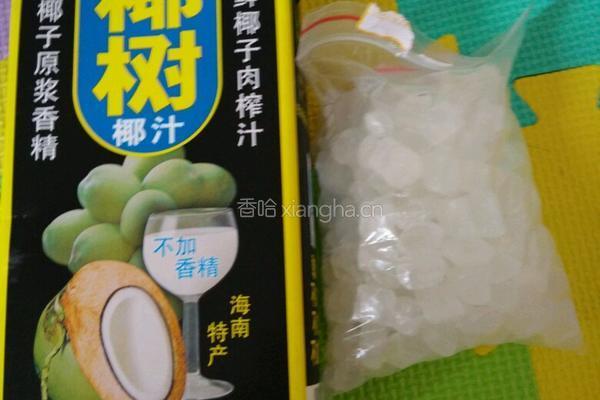 椰汁西米雪耳木瓜的做法图解4