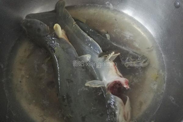 鲶鱼炖豆腐的做法图解5
