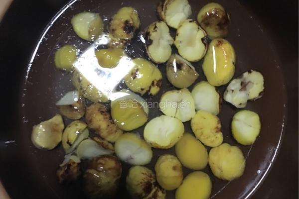 栗子排骨煲的做法图解8