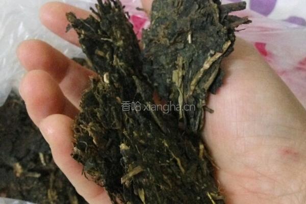 锡盟奶茶的做法图解2