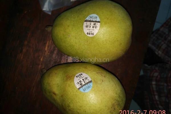 红酒烩梨的做法图解1