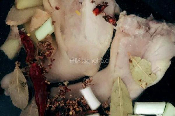 凉拌鸡丝的做法图解3