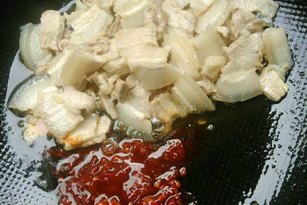 蒜苗回锅肉的做法图解9