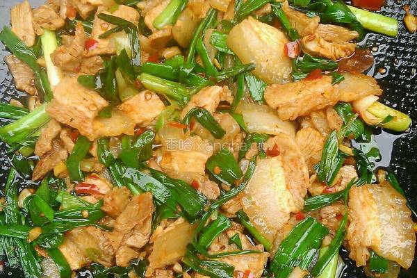 蒜苗回锅肉的做法图解13