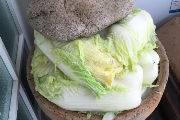 酸菜腌制方法，的做法图解8