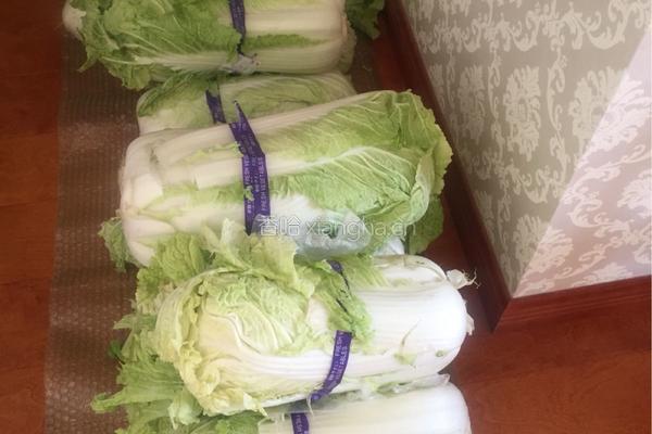 酸菜腌制方法，的做法图解1