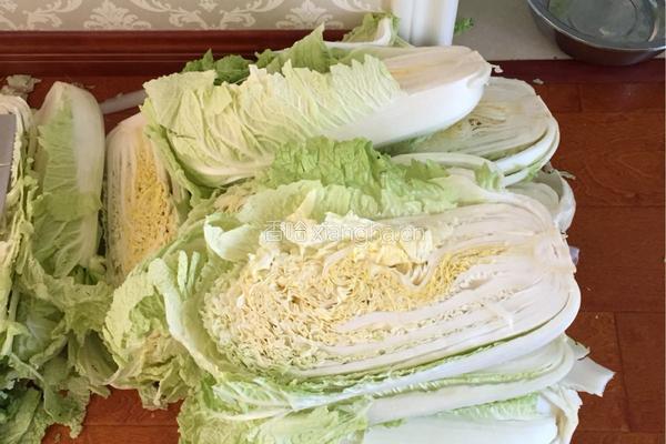 酸菜腌制方法，的做法图解2