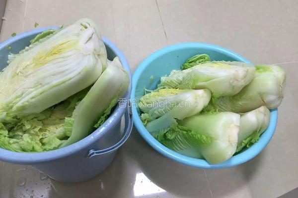 酸菜腌制方法，的做法图解5