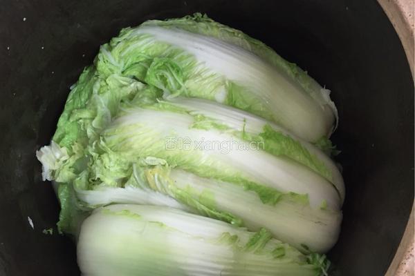 酸菜腌制方法，的做法图解7