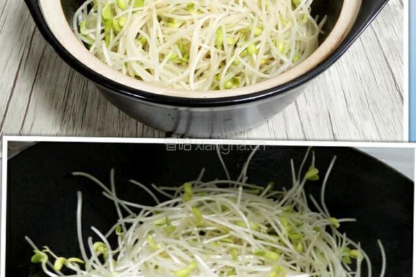 麻辣干锅鸡的做法图解8