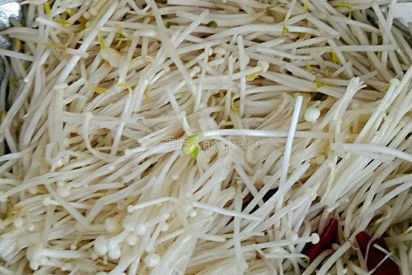酸菜牛肉的做法图解5