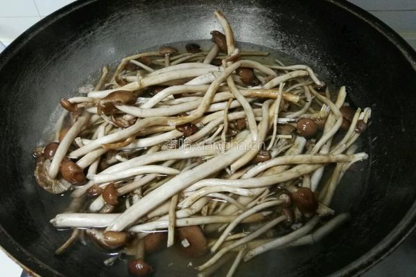 茶树菇烧鸡翅的做法图解3