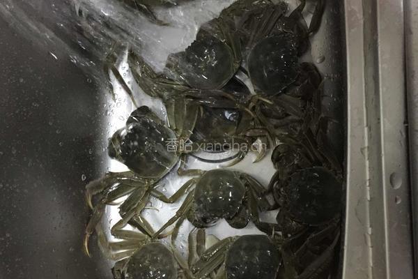 清蒸螃蟹的做法图解1