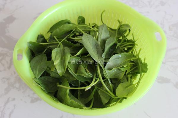 果仁菠菜的做法图解1