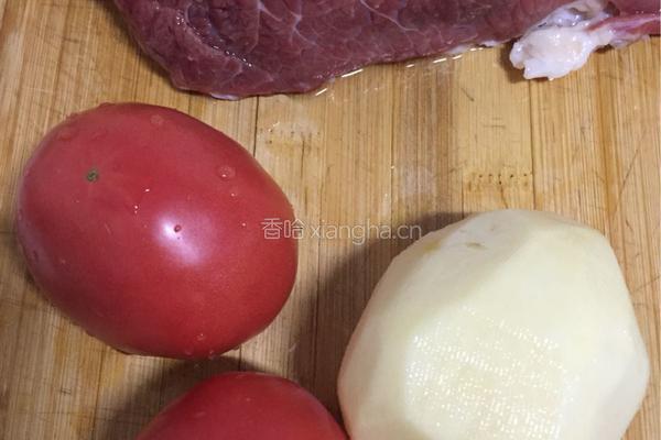 西红柿炖牛腩的做法图解1