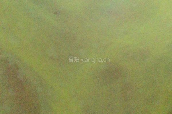 吐司的做法图解2
