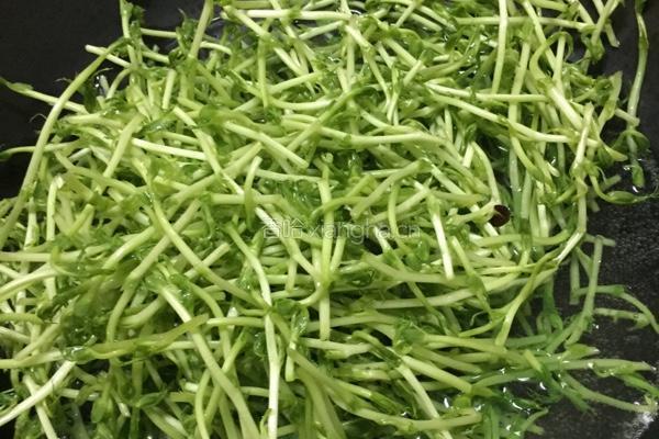 牛肉豆苗汤的做法图解4