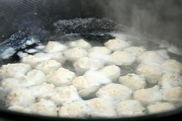 茄汁鸡肉丸的做法图解10