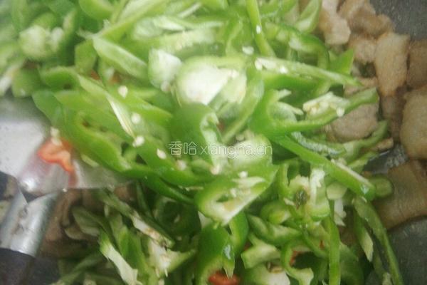 辣椒炒肉的做法图解9