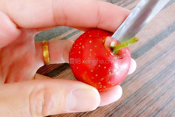 山楂果肉酱的做法图解4