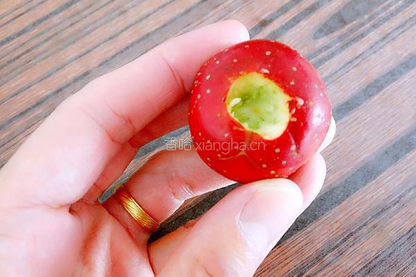 山楂果肉酱的做法图解5