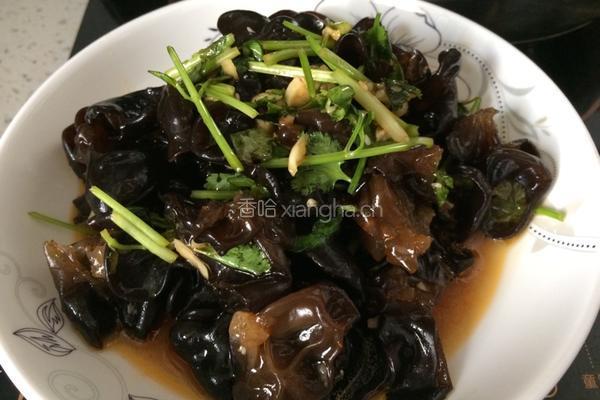 凉拌木耳的做法图解4