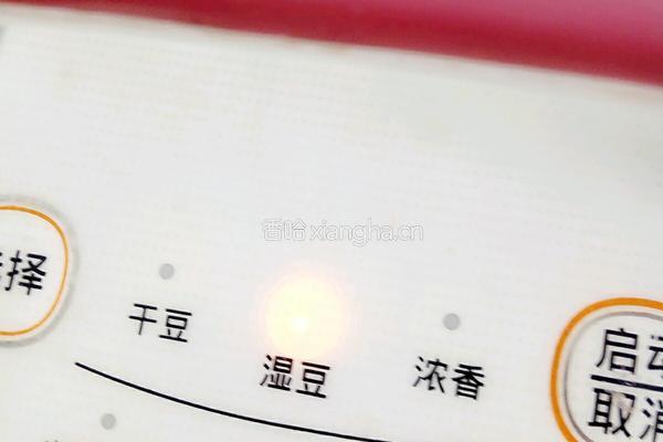 红枣豆浆的做法图解8