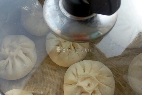 猪肉白菜包的做法图解11