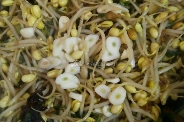 炒黄豆芽的做法图解8