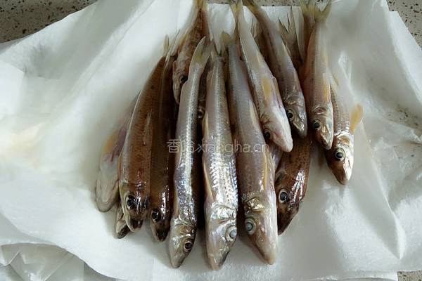 红烧棍子鱼的做法图解2