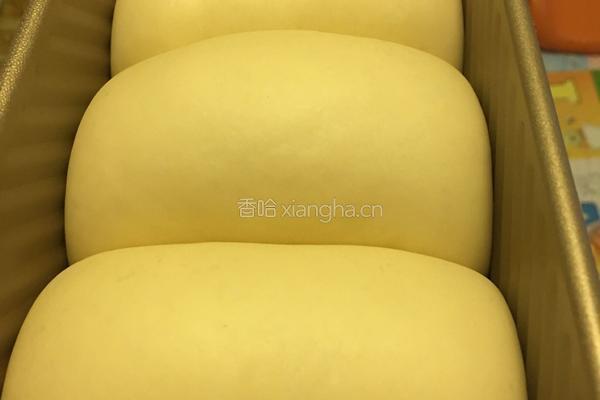 原味吐司的做法图解15