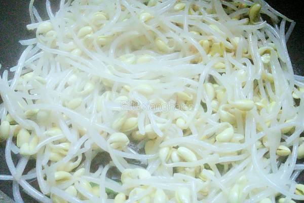 素炒黄豆芽的做法图解5