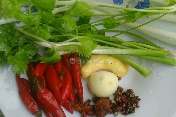 萝卜烧牛肉的做法图解2