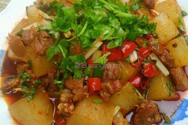 萝卜烧牛肉的做法图解14