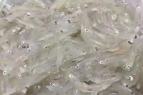 银鱼煎蛋的做法图解1