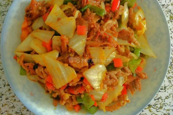 白菜炒肉的做法图解4