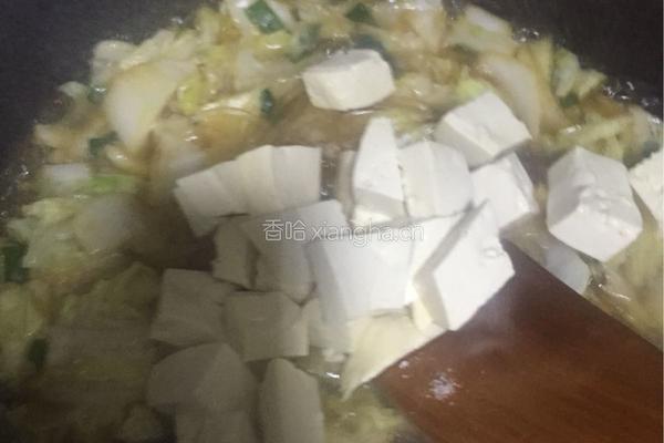 白菜炖豆腐粉条的做法图解6