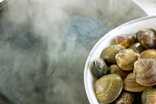蒜香炒花蛤的做法图解5