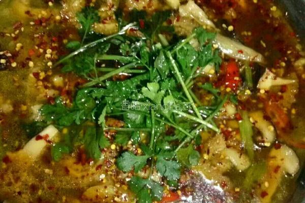 香辣牛肚火锅的做法图解10